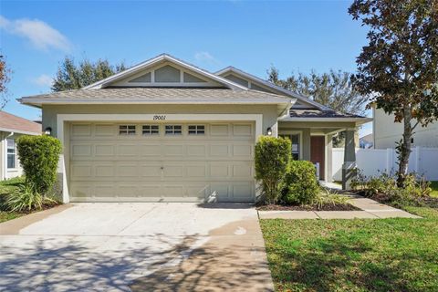 Photo of 19001 Quarry Badger Road, Land O Lakes, FL 34638 (MLS # O6388316)