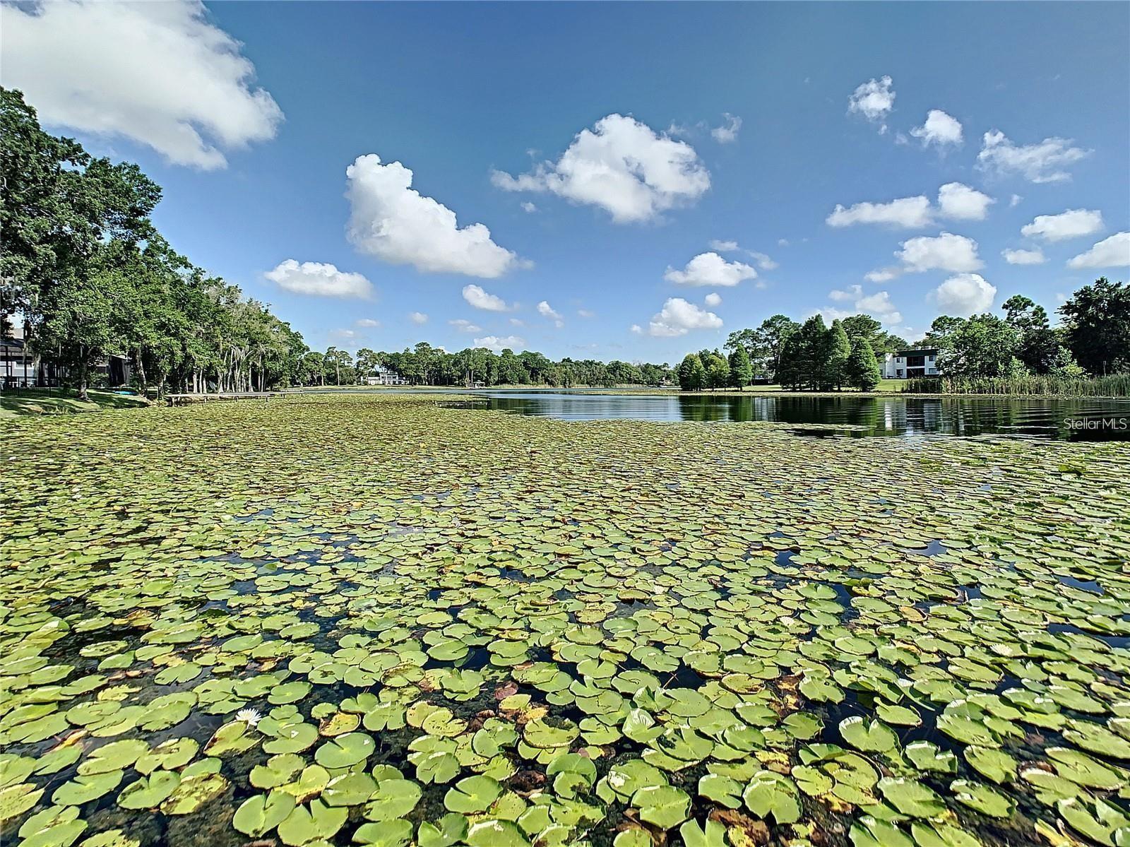 TIFFANY OAKS LAKESIDE CONDO - Residential