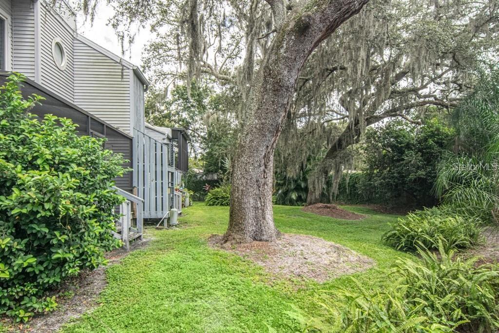 TIFFANY OAKS LAKESIDE CONDO - Residential