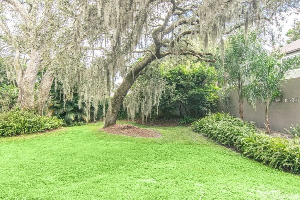 TIFFANY OAKS LAKESIDE CONDO - Residential