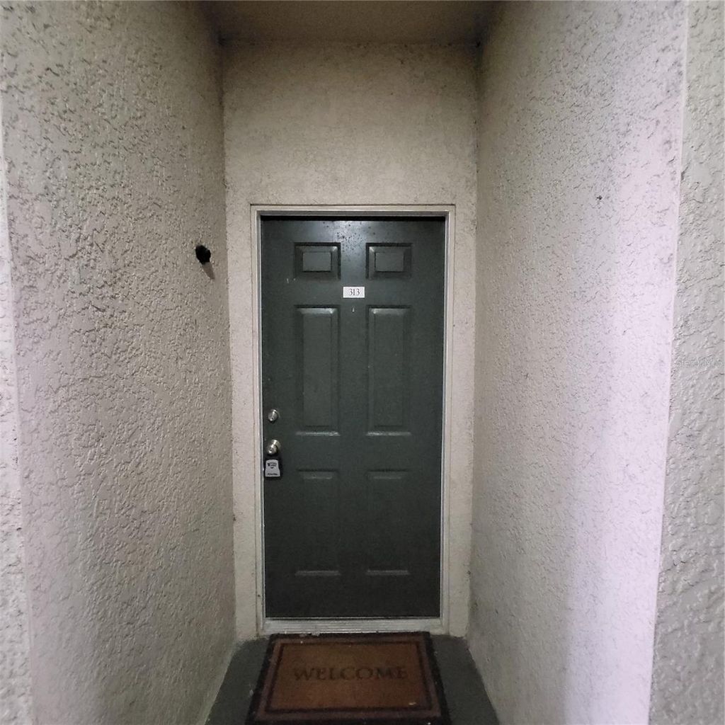 Photo of 17102 Carrington Park Drive #313, Tampa, FL 33647 (MLS # TB8416157)