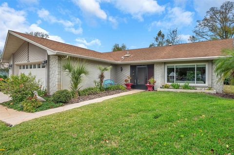 Photo of 1658 Macdonnell Court, Palm Harbor, FL 34684 (MLS # TB8502638)