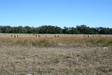 0 S US HWY 301 SUMMERFIELD FL 34491