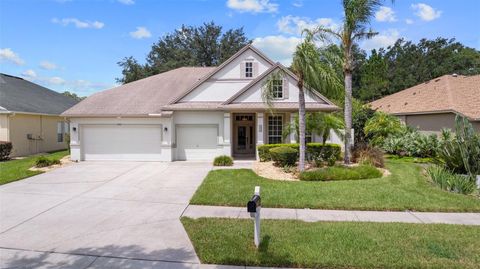 A home in LAND O LAKES