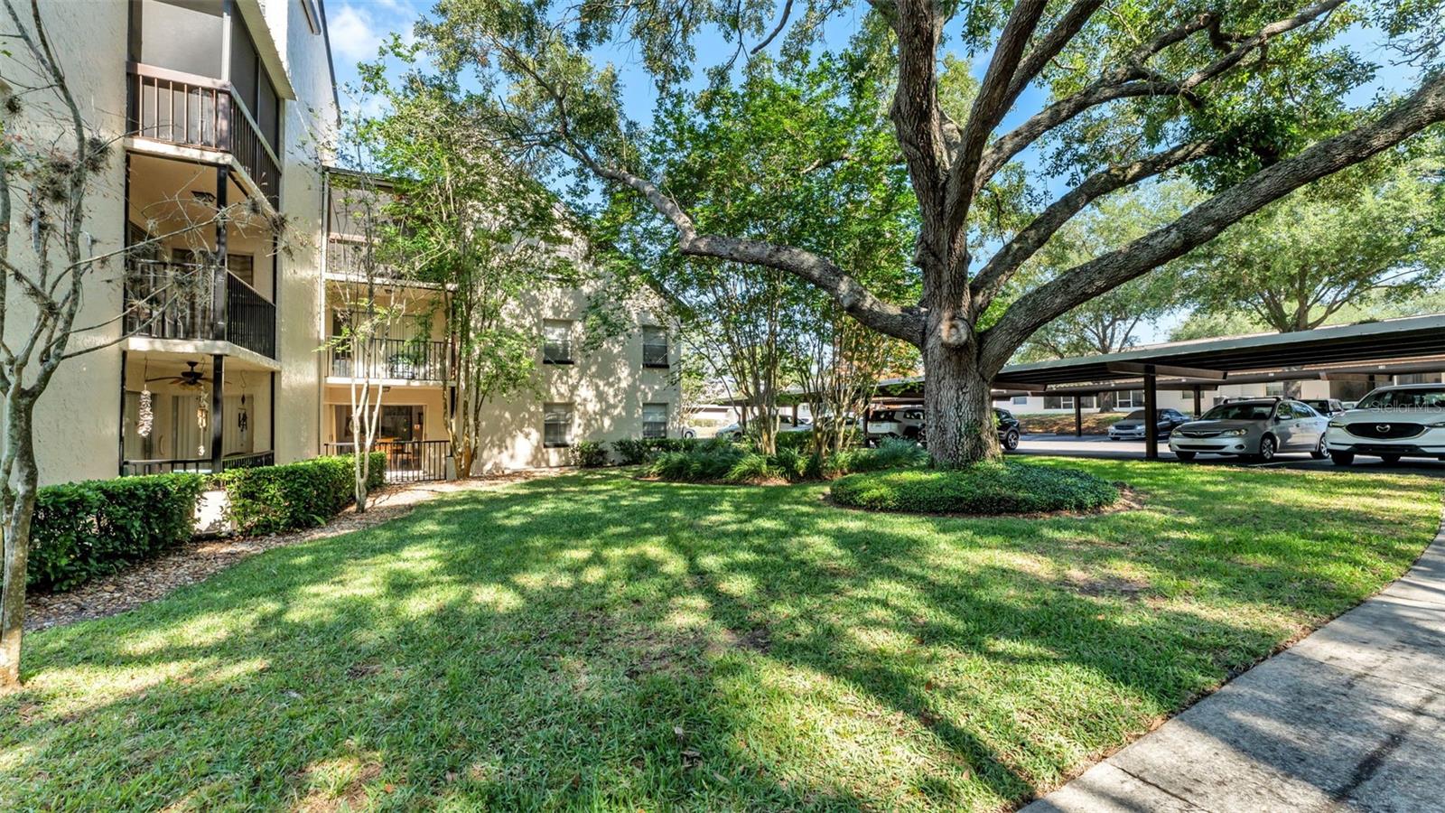 KIMBERLEA COND NO 2 COND BK 2 PGS 19/24 - Residential