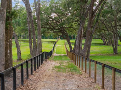 Tiny photo for 11140 NW 160th Avenue, Morriston, FL 32668 (MLS # OM726222)
