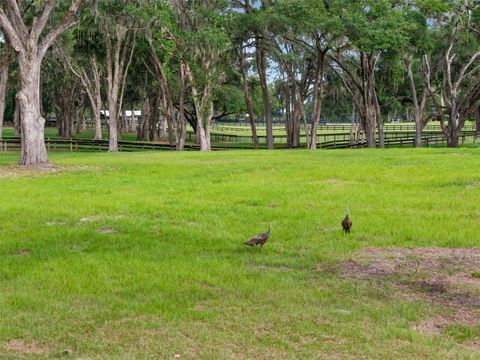 Tiny photo for 11140 NW 160th Avenue, Morriston, FL 32668 (MLS # OM726222)