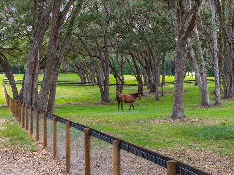 Tiny photo for 11140 NW 160th Avenue, Morriston, FL 32668 (MLS # OM726222)