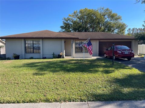 A home in DELTONA