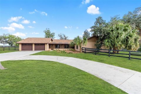 Tiny photo for 12009 NE 8th Court, Ocala, FL 34479 (MLS # OM714699)