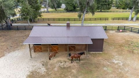 Tiny photo for 12009 NE 8th Court, Ocala, FL 34479 (MLS # OM714699)