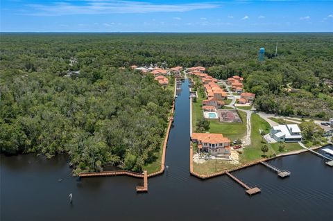 A home in HOMOSASSA