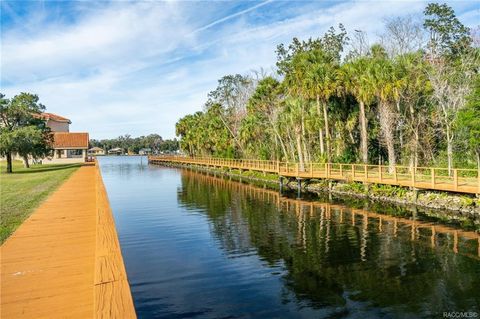 A home in HOMOSASSA