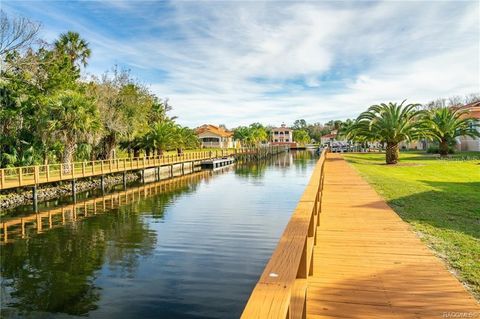 A home in HOMOSASSA