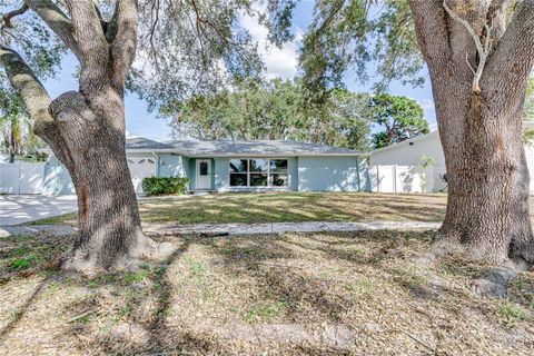 A home in CLEARWATER