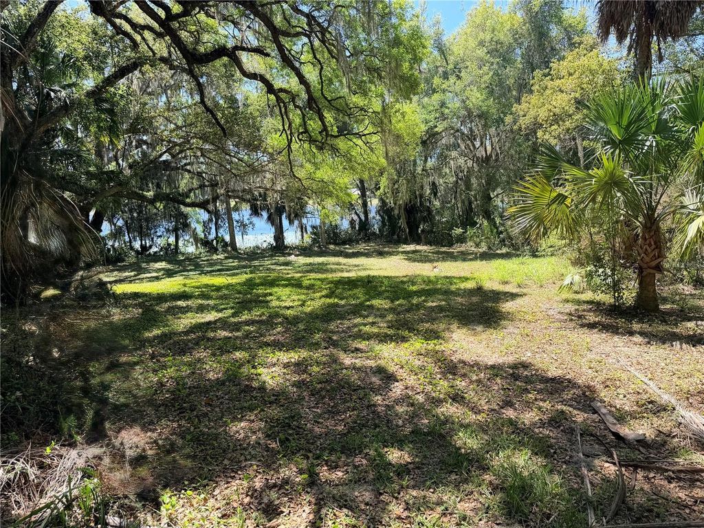 Photo of 0 W Miller Street, Fruitland Park, FL 34731 (MLS # G5109942)