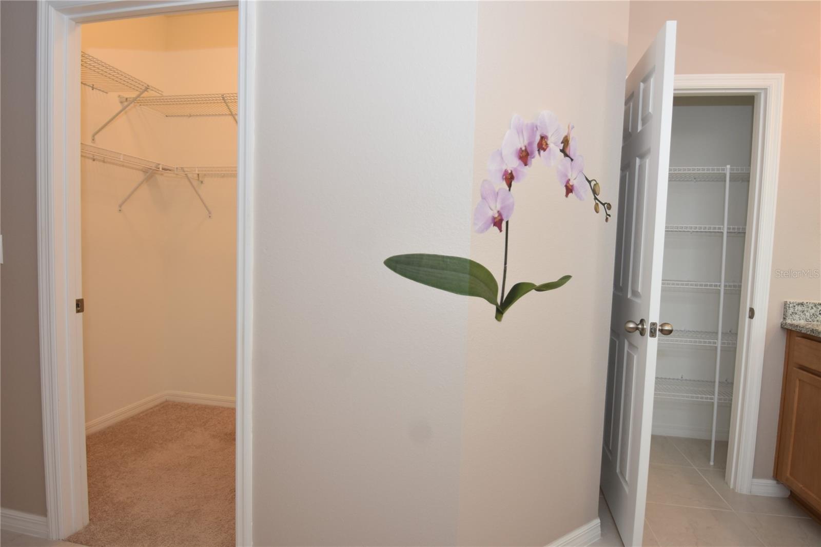 LEHIGH WOODS - Residential Lease