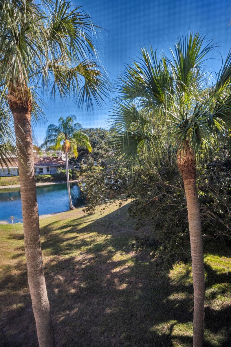 HEATHER LAKE APTS CONDO - Residential