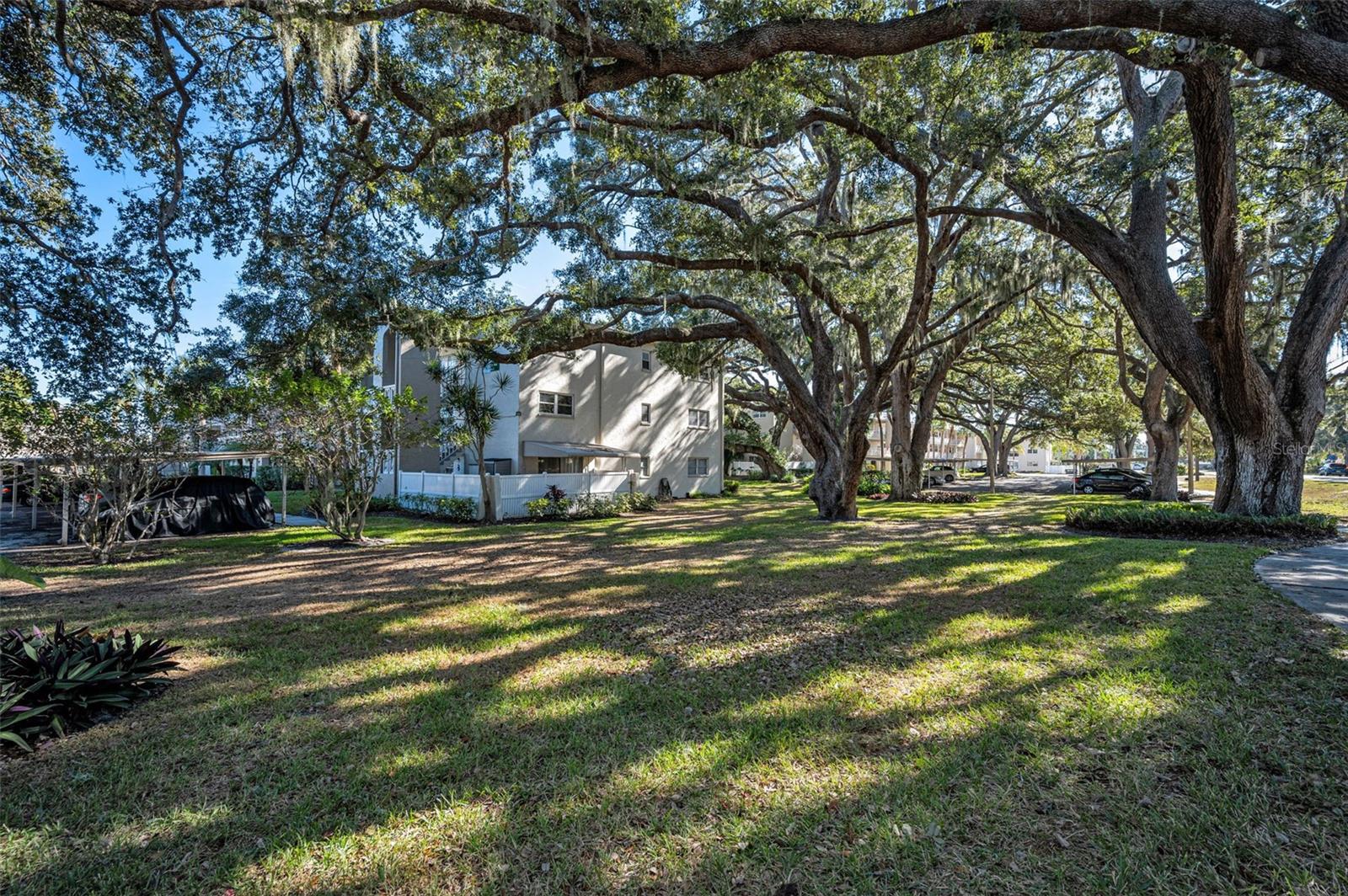 HEATHER LAKE APTS CONDO - Residential