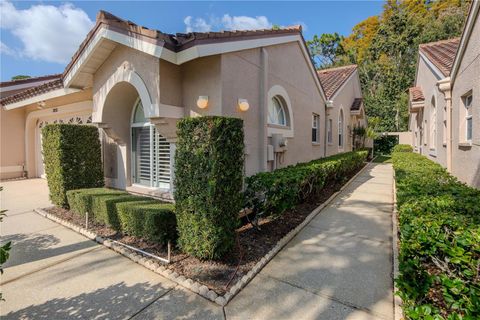 3825 DARSTON STREET PALM HARBOR FL 34685