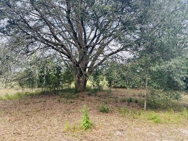 EMERALD FARMS UN 01 - Land