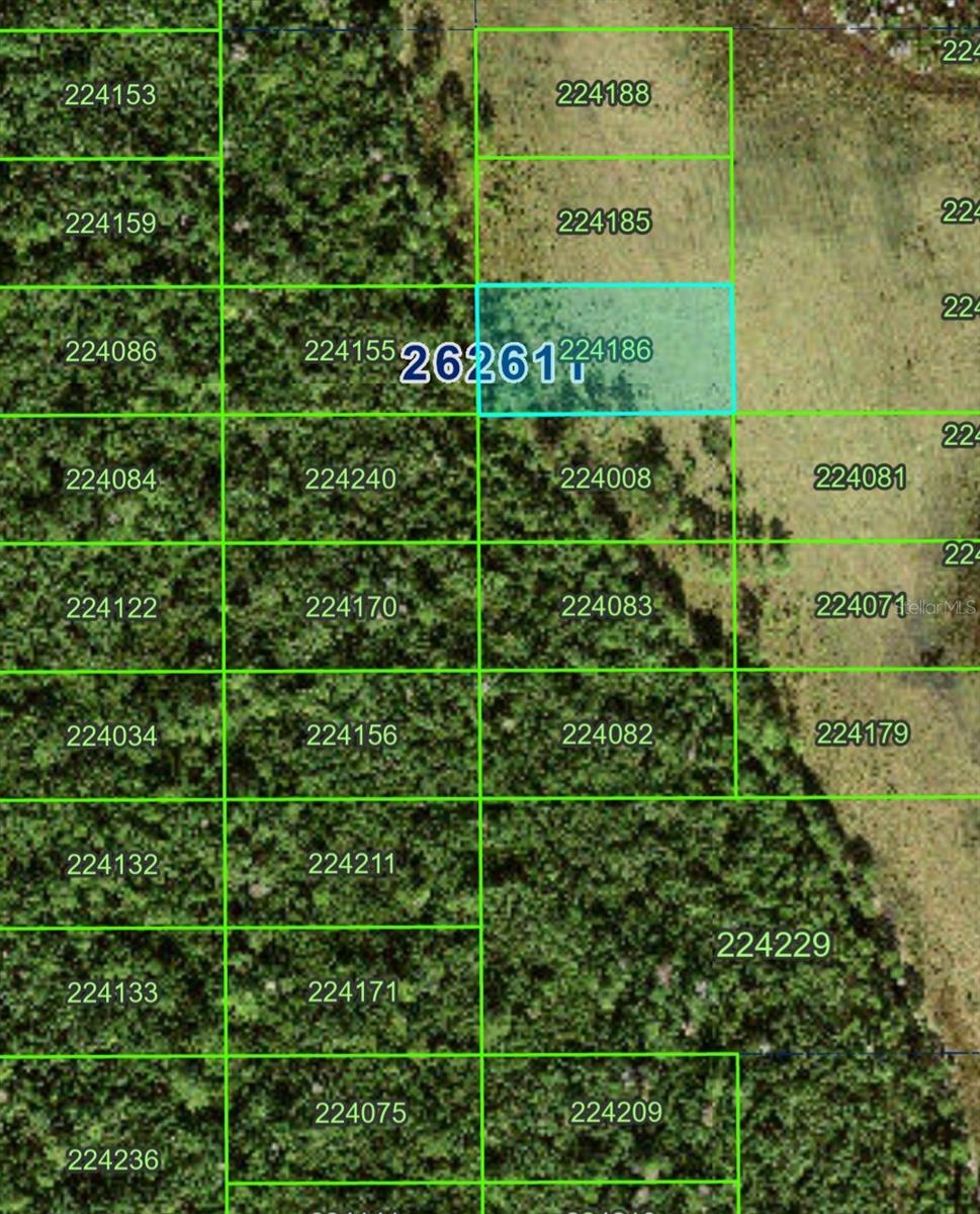 Vacant Lot is landlocked. Need to do your own due diligence and contact county for easement options to access property. Lot is located in a growing area.