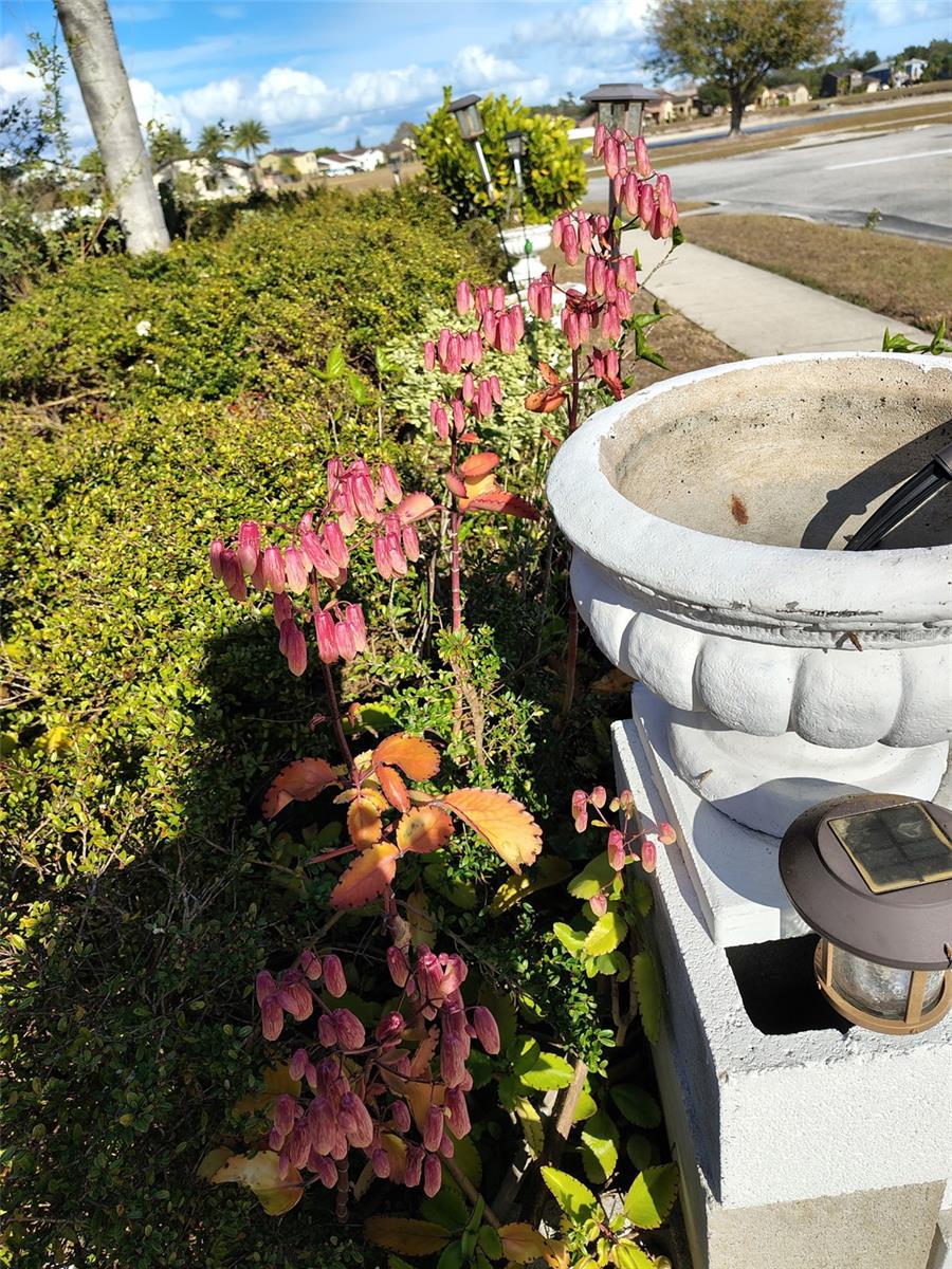 ORANGEBRANCH BAY - Residential