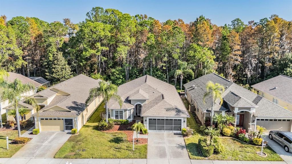 Photo of 1143 Dustan Place, Trinity, FL 34655 (MLS # W7880858)
