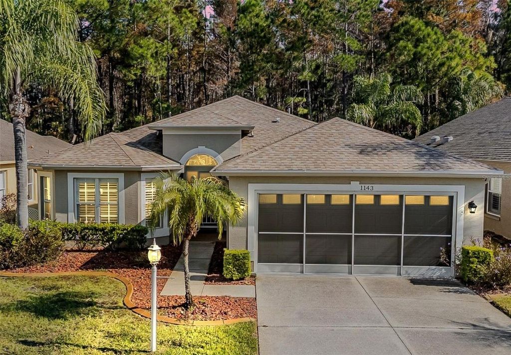 Photo of 1143 Dustan Place, Trinity, FL 34655 (MLS # W7880858)