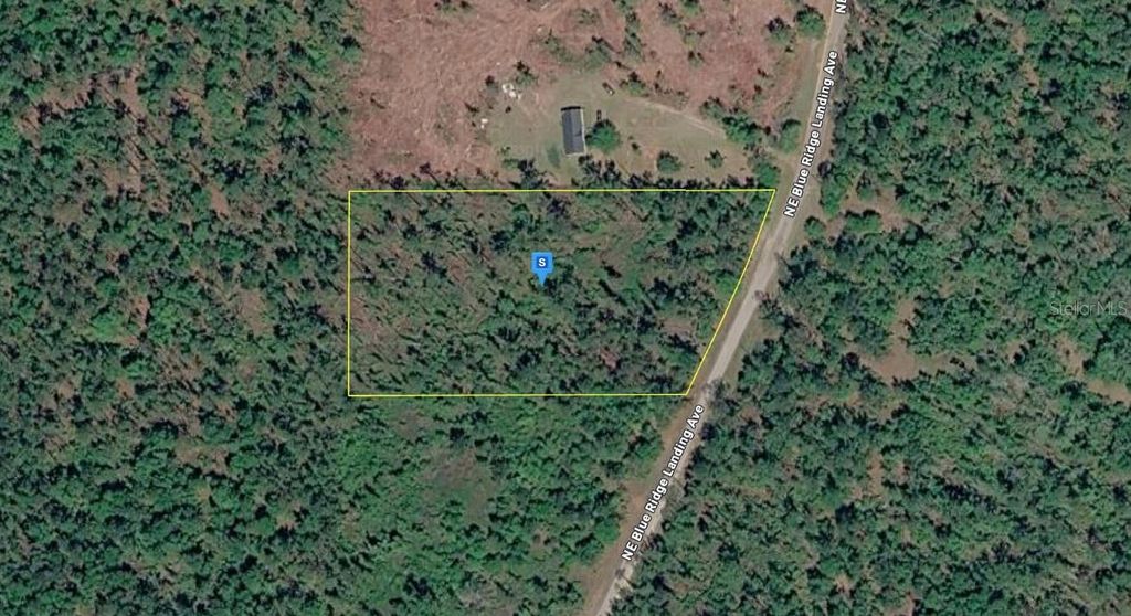 Photo of 1177 NE Blue Ridge Landing Avenue, Lee, FL 32059 (MLS # A4681973)