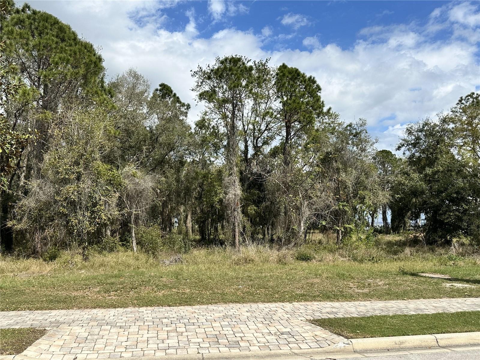 Create your dream estate on this stunning 1.26-acre lakefront lot in the guard-gated community of Bella Collina. With 100 feet of pristine Lake Apopka frontage and stretching over 500 feet in depth, this exceptional homesite offers breathtaking water views and unmatched privacy.
Enjoy the freedom to build at your own pace with no required timeframe, choosing from one of Bella Collina’s seven custom home builders. This property also includes private boat dock rights, providing the ideal setting for waterfront relaxation and entertaining.
Bella Collina’s world-class amenities include a Nick Faldo-designed 18-hole championship golf course, a luxurious spa, a state-of-the-art fitness center with 20+ weekly classes, tennis and pickleball courts, and a stunning resort-style pool. Residents have access to two on-site restaurants with indoor and outdoor dining, as well as a year-round calendar of exclusive community events.
Located just 1.5 miles from Montverde Academy and with easy access to the Florida Turnpike, Hwy 408, and 429, this property seamlessly blends luxury, privacy, and convenience. The $40,000 Sports Membership Deposit is paid to The Club at Closing by the Seller — secure your place in this extraordinary community today. Contact us to schedule your private tour!