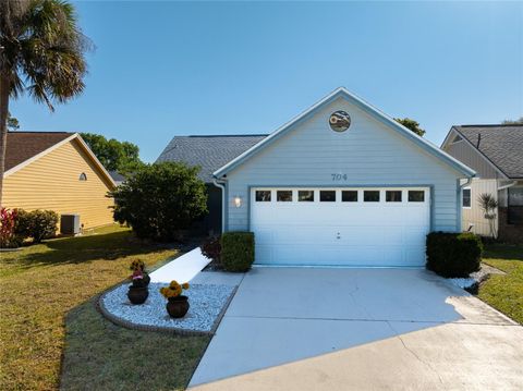 Photo of 704 Sky Tree Court, New Smyrna Beach, FL 32168 (MLS # O6290258)