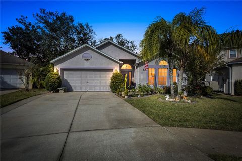 A home in VALRICO