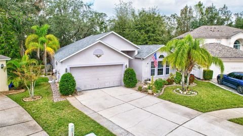 A home in VALRICO