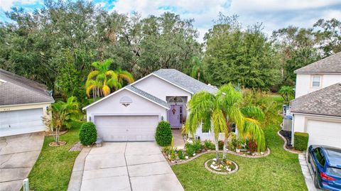 A home in VALRICO