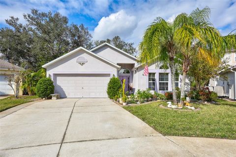 A home in VALRICO