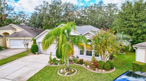 A home in VALRICO