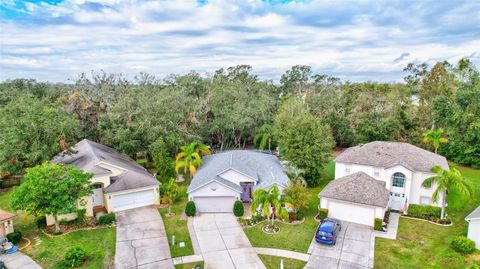 A home in VALRICO