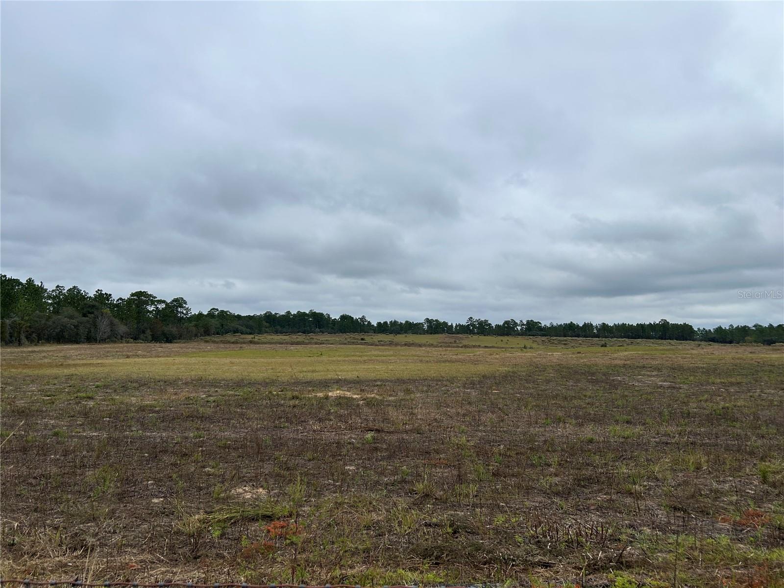 QUAIL RIDGE FARMS - Land