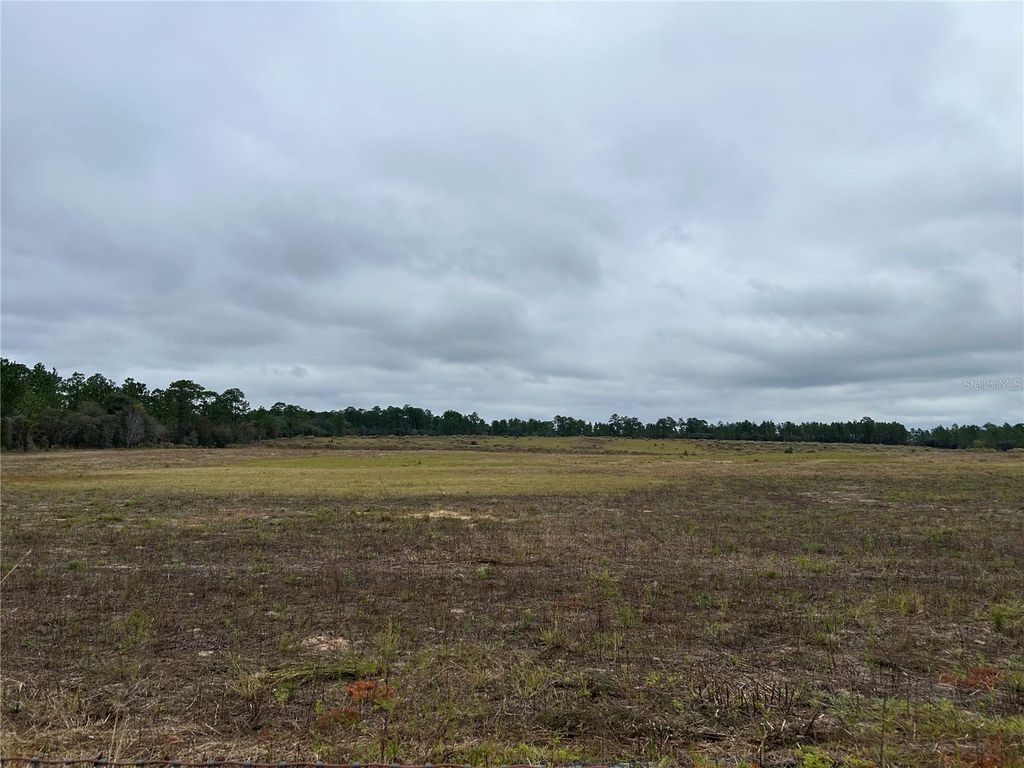 Photo of 14231 SE 80th Street, Morriston, FL 32668 (MLS # OM712417)