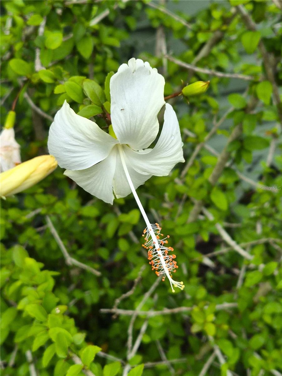 S P G HEIGHTS 8TH ADD - Residential