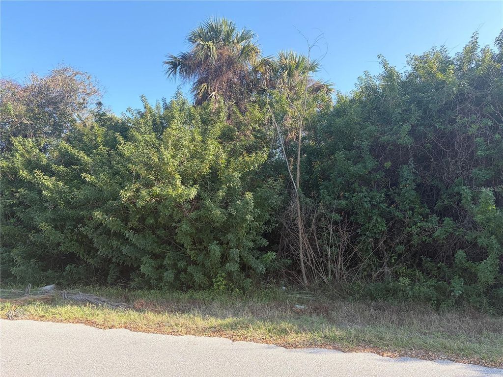 Photo of 14499 Ransom Avenue, Port Charlotte, FL 33953 (MLS # A4685526)