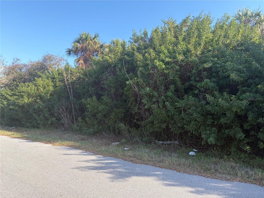 Photo of 14499 Ransom Avenue, Port Charlotte, FL 33953 (MLS # A4685526)