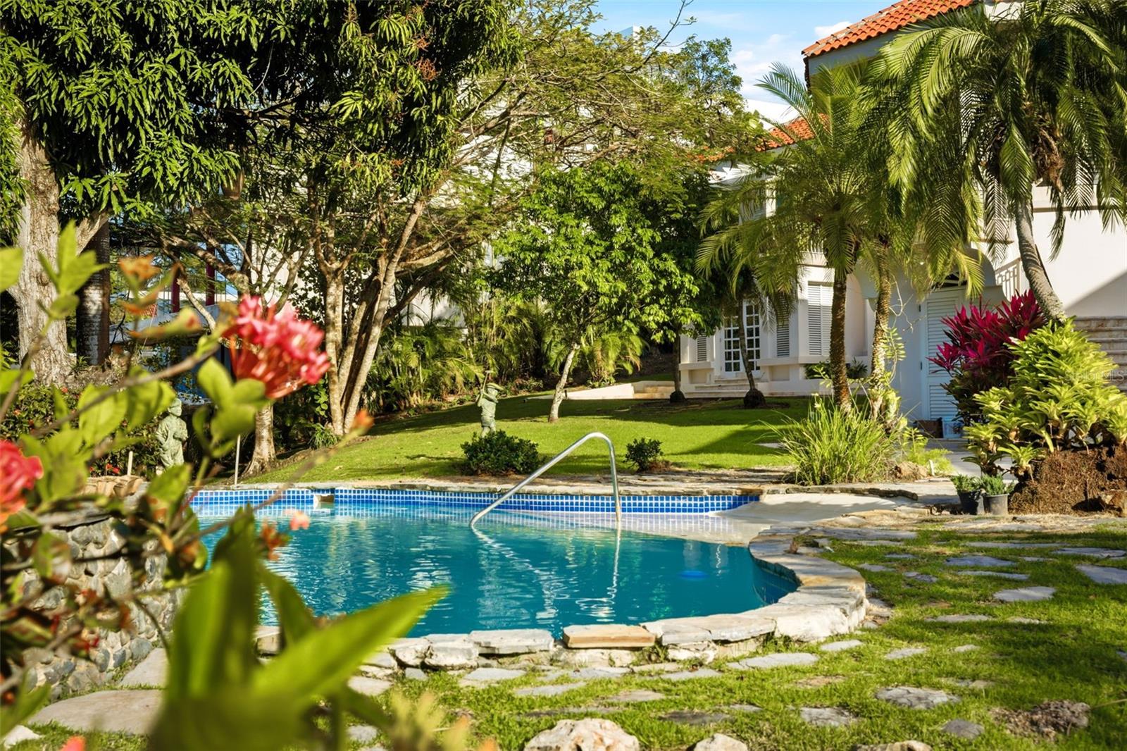 DORADO BEACH ESTATES - Residential