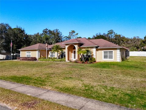 A home in LADY LAKE