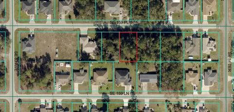 00 SE 159TH PLACE SUMMERFIELD FL 34491