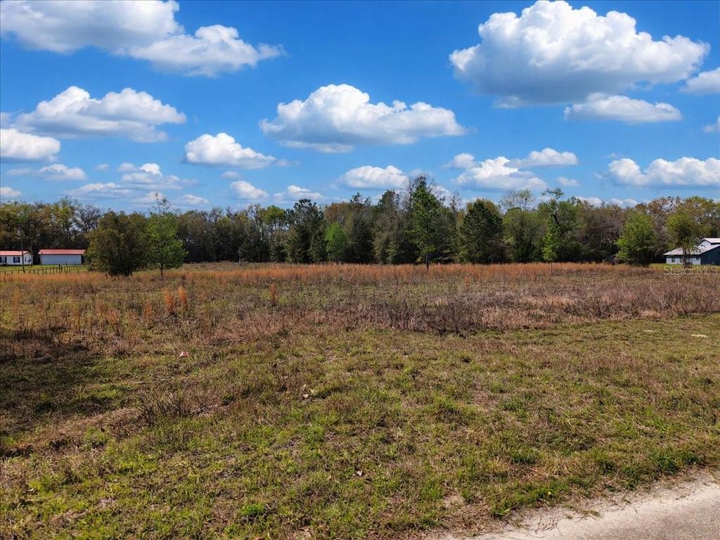 Photo of 17350 NW 1st Avenue, Trenton, FL 32693 (MLS # GC538418)