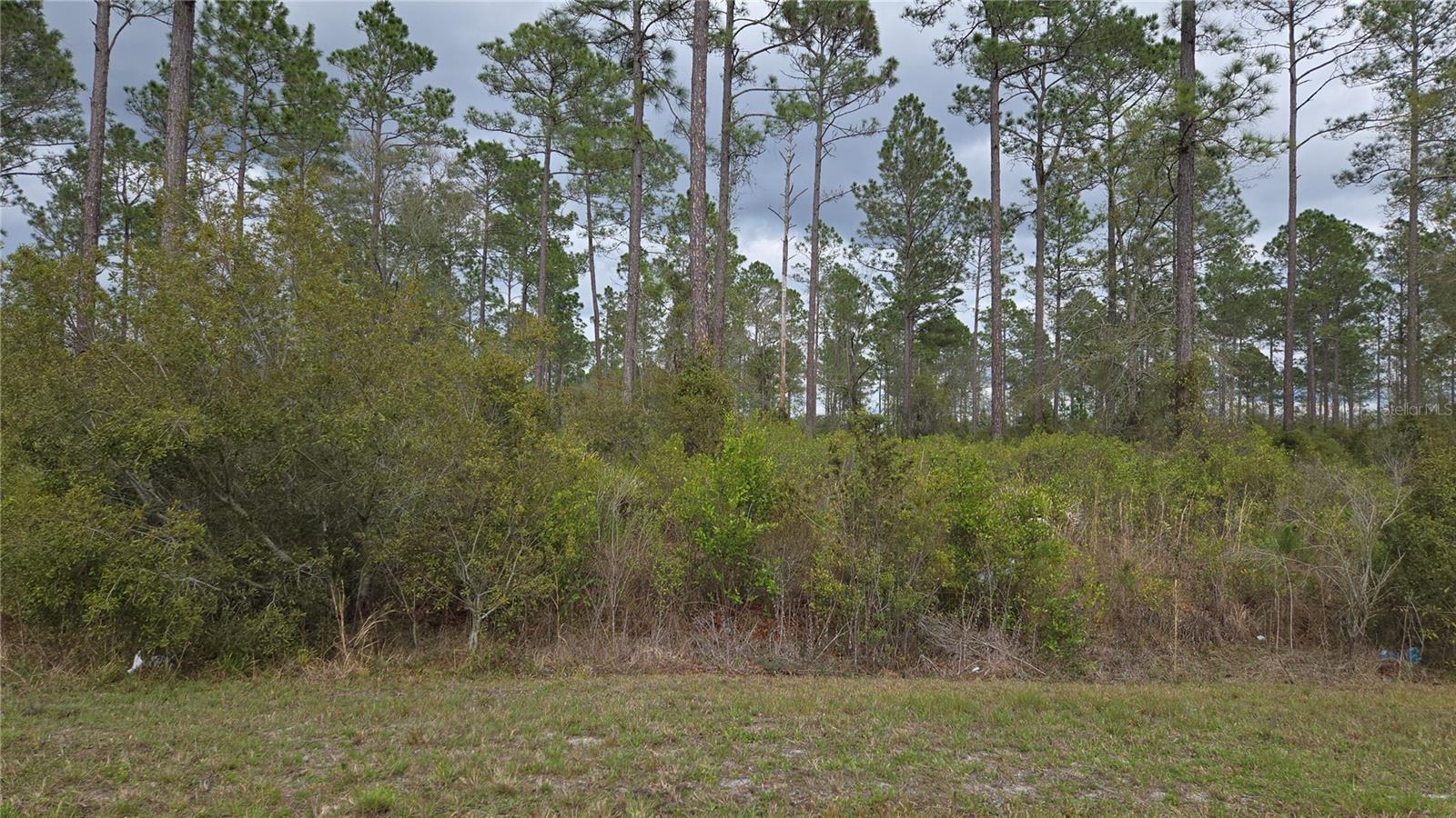 WOODS AT FALLING CREEK - Land