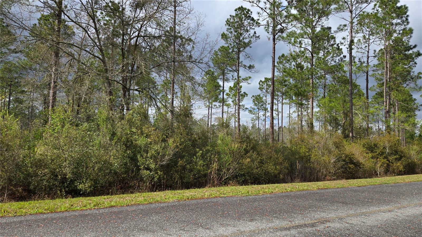 WOODS AT FALLING CREEK - Land