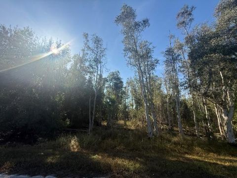 27335 LAS LOMAS DRIVE PUNTA GORDA FL 33955